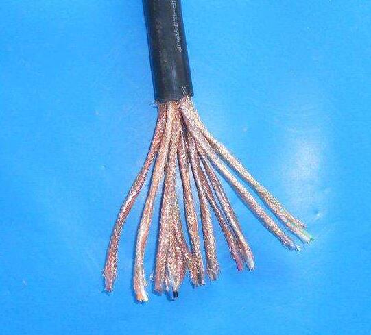 計算機專(zhuān)用控制電纜DJYPVP